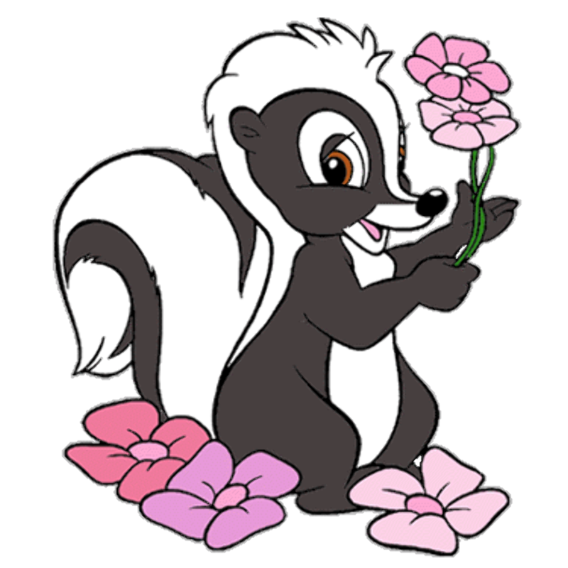 New Cartoon Skunk Girls Metal  - Candle Making For Kids avis et prix