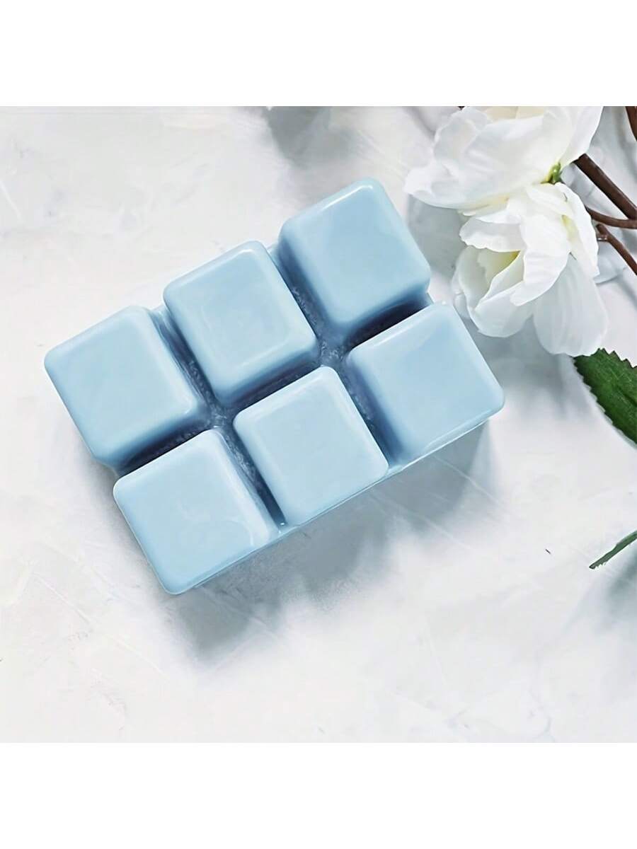12/24 Pieces Rectangular 6-Hol - Candle Making Jars Wholesale avis et prix
