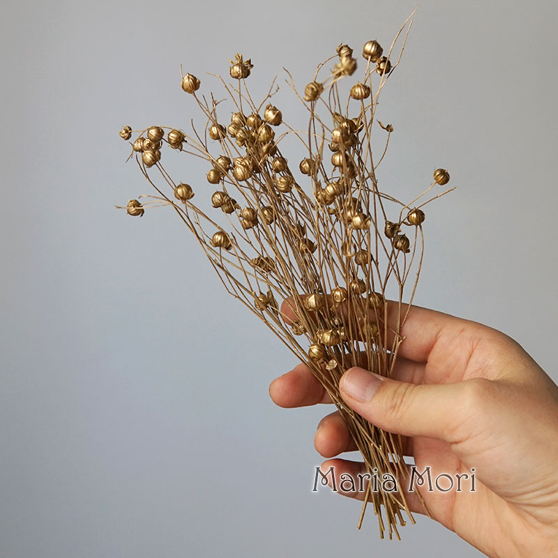 5g Preserved Flax Bean Natural - Candle Making At Home avis et prix